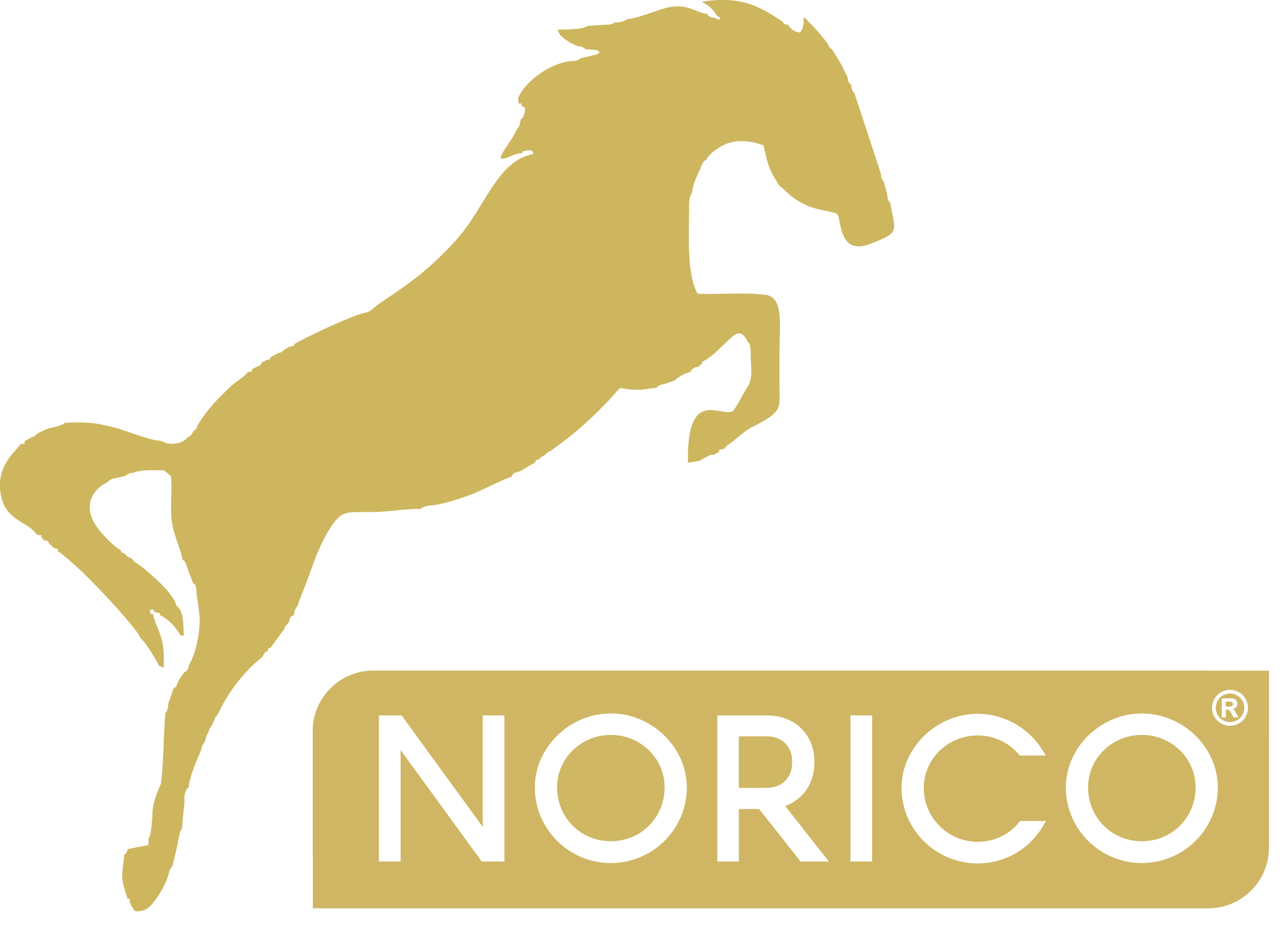 Norico Norico Horse logo